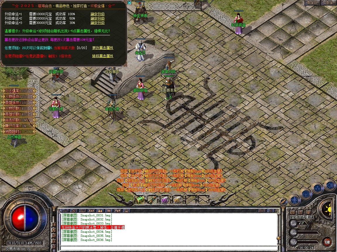 Snapshot_0037.jpg